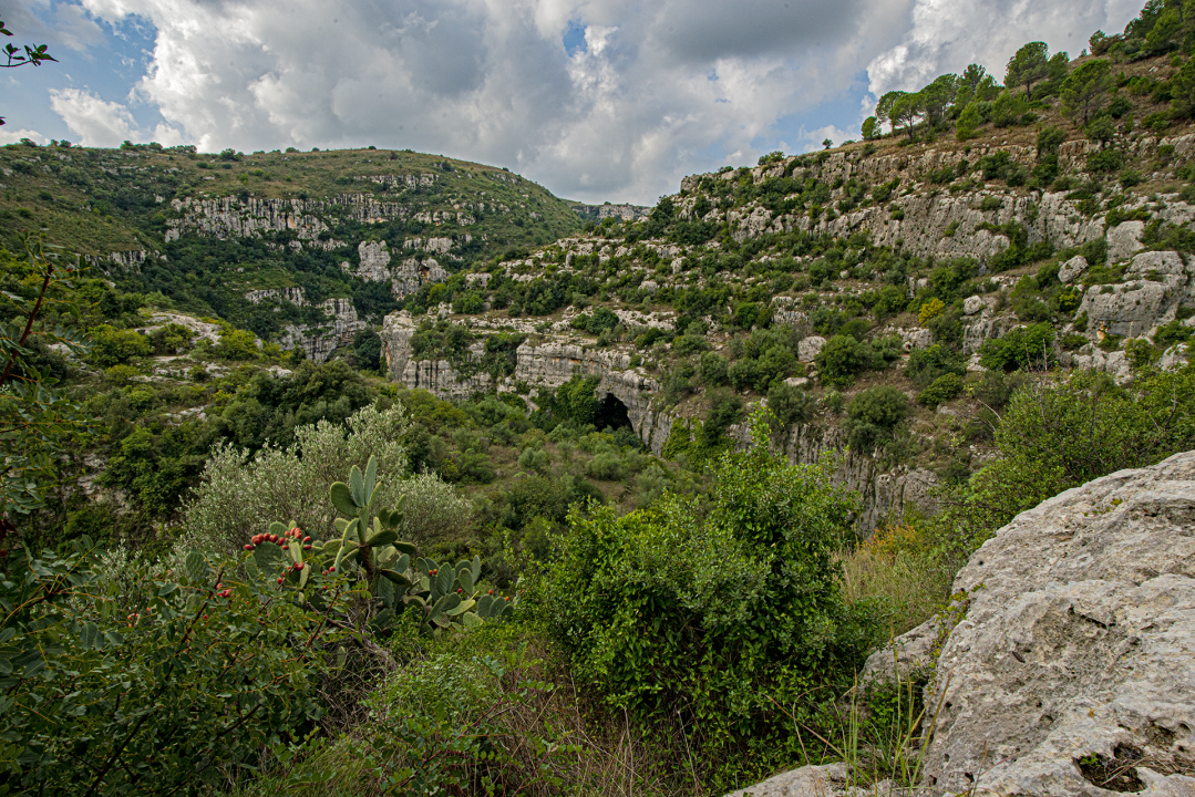 sella di filiporto