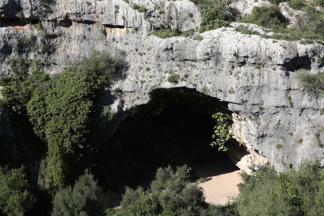 Grotta dei pipistrelli 