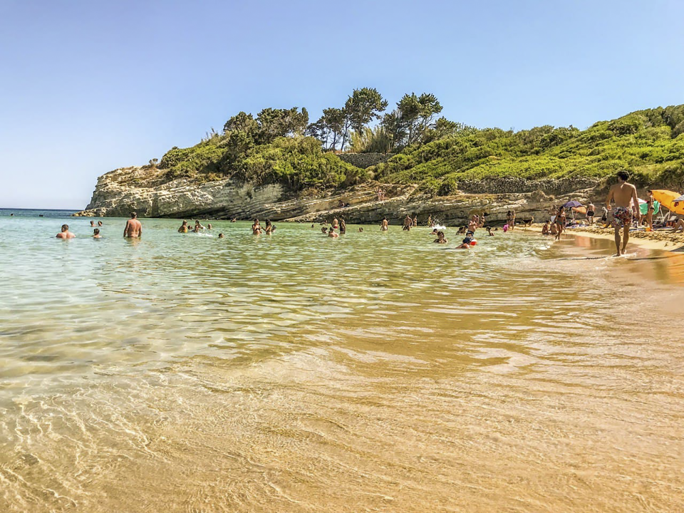 riserva gelso mineto