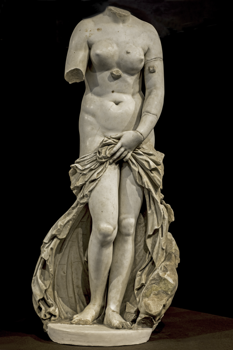 Venere landolina