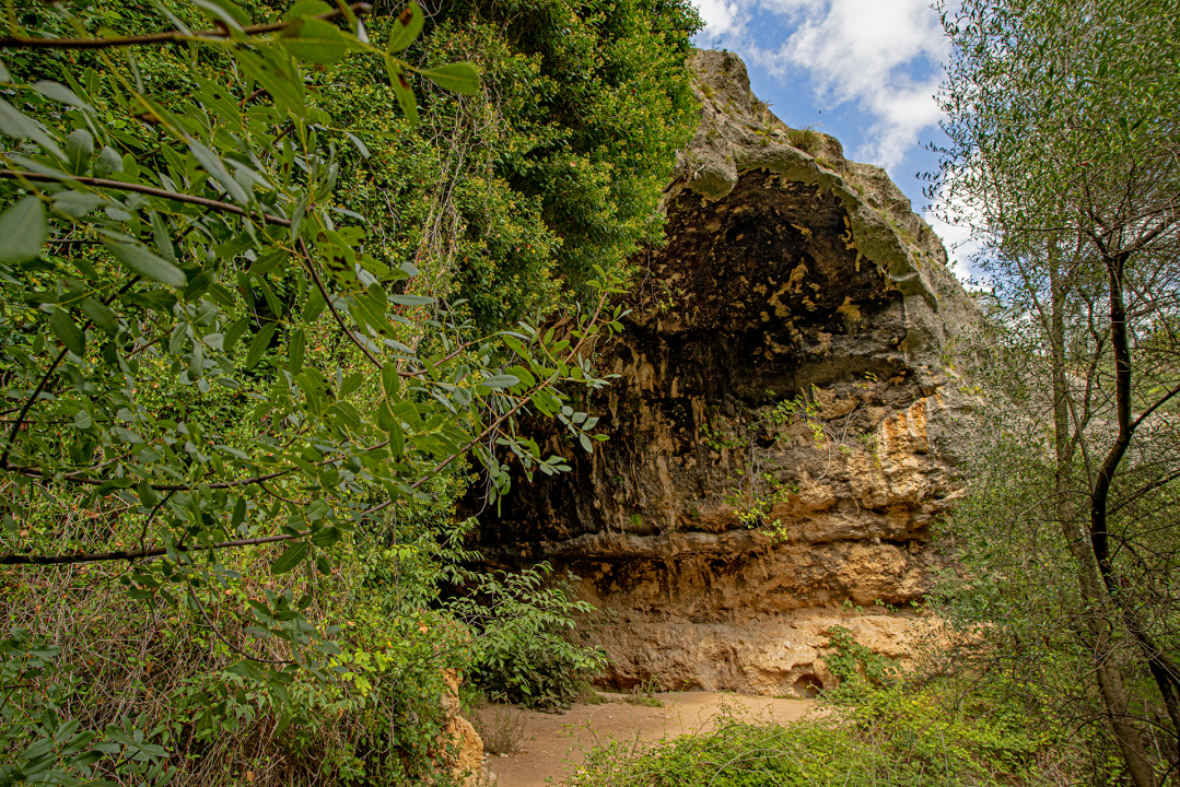 Grotta dei pipistrelli
