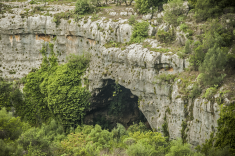 grotta dei pipistrelli 