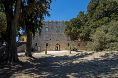 Il giardino e il labirinto 