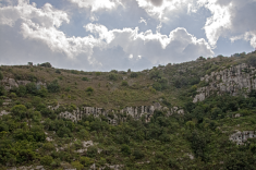 sella di filiporto