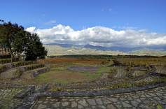 vigneti a terrazze