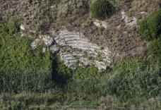 Eloro