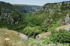 sella di filiporto