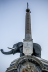 Elefante Liotru