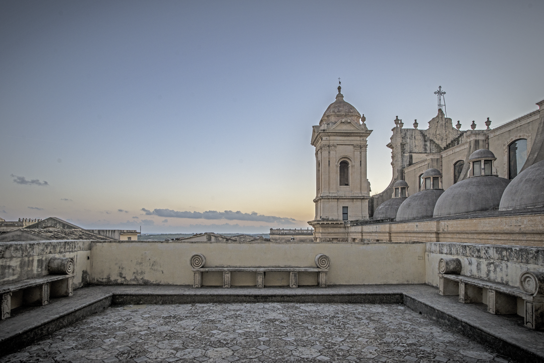 trigona terrazza