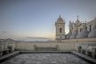 trigona terrazza